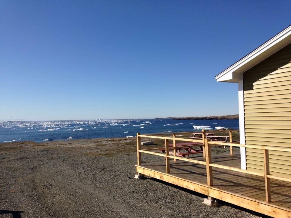 Oceanside Cabins Bonavista Εξωτερικό φωτογραφία